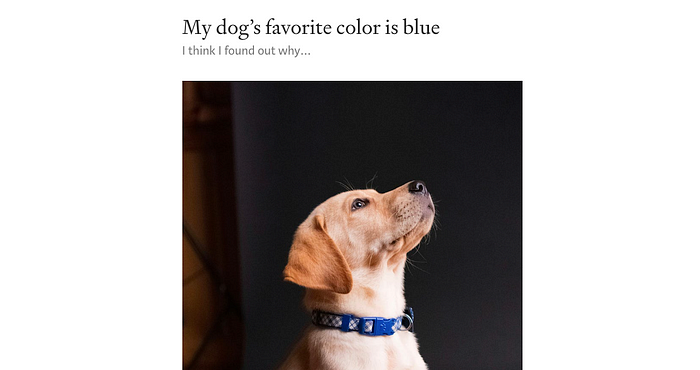 Um post no blog com um cachorro com um colarinho azul